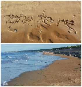 omaha beach omaha beach